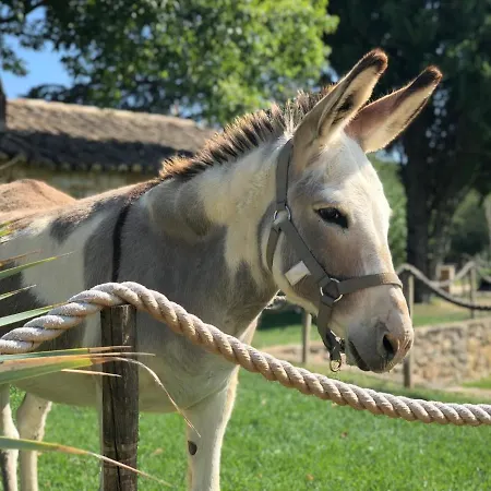 Tatil Evi Domaine De Gressac Verfeuil