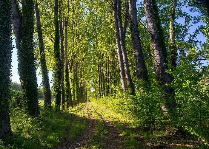 Casa de Férias Domaine De Gressac